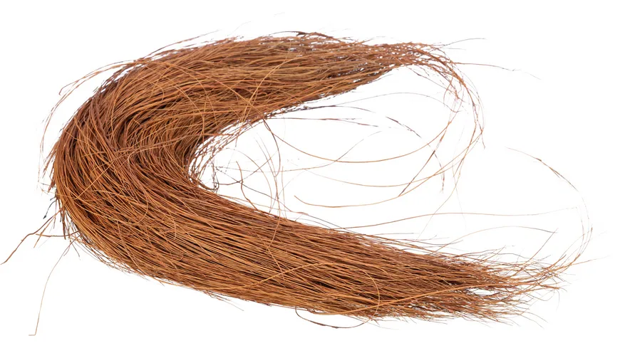Trixie Bird Nistmaterial gekämmte Kokosfasern 30 g