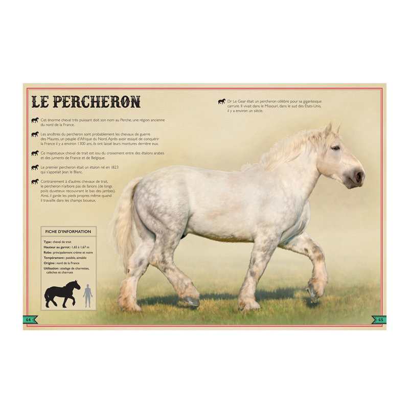 Livre Le livre extraordinaire des chevaux - Little Urban