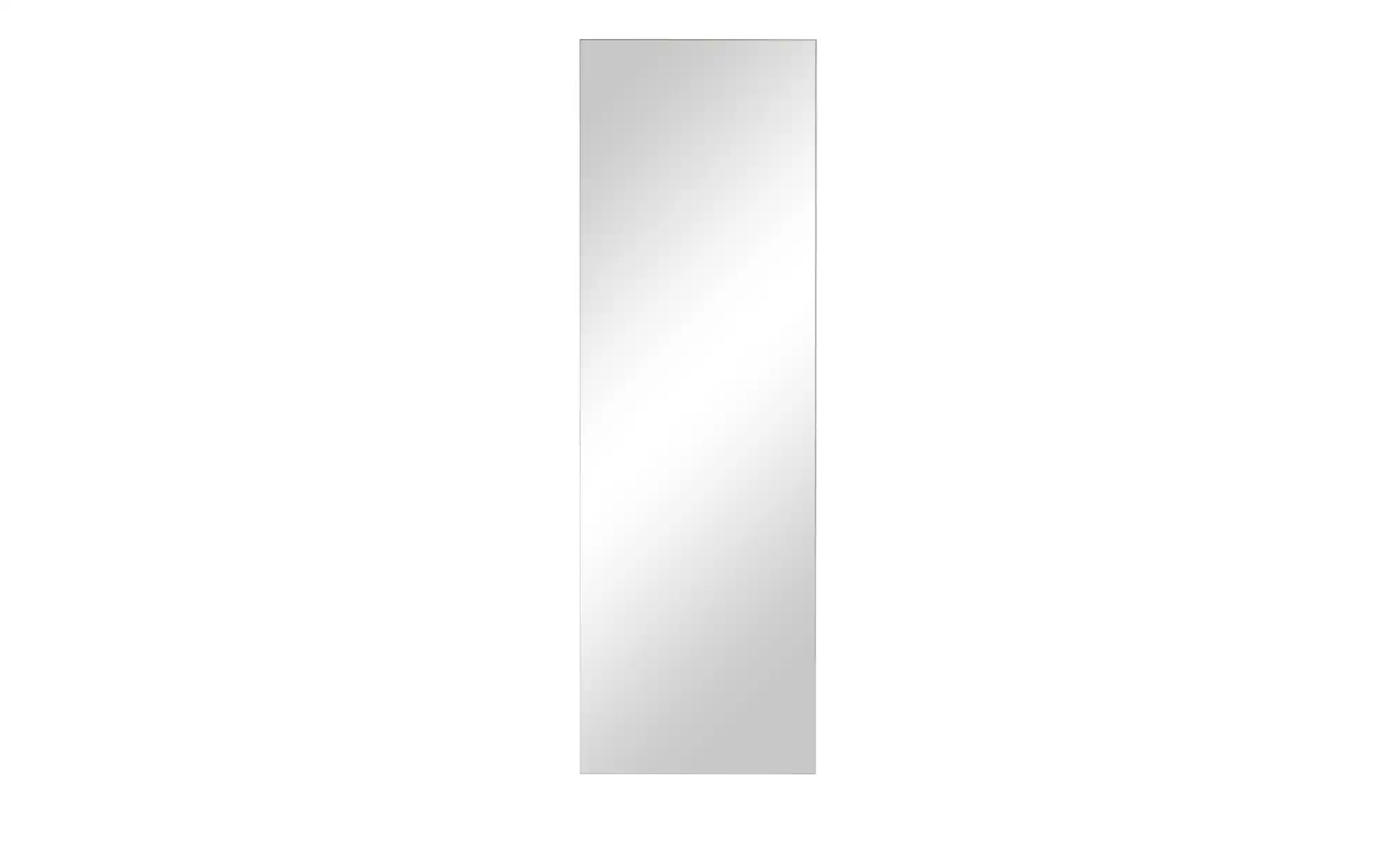 Spiegel 48 x 147 cm