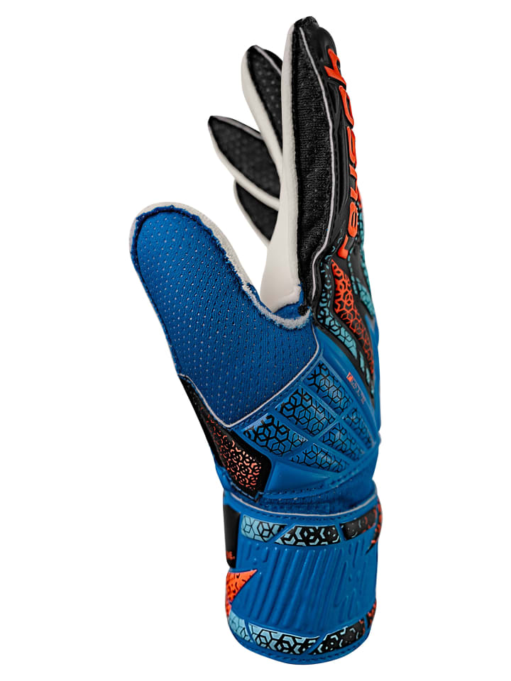 Reusch Torwarthandschuhe Attrakt Solid Junior in 4467 electric blu/shock. orang günstig kaufen