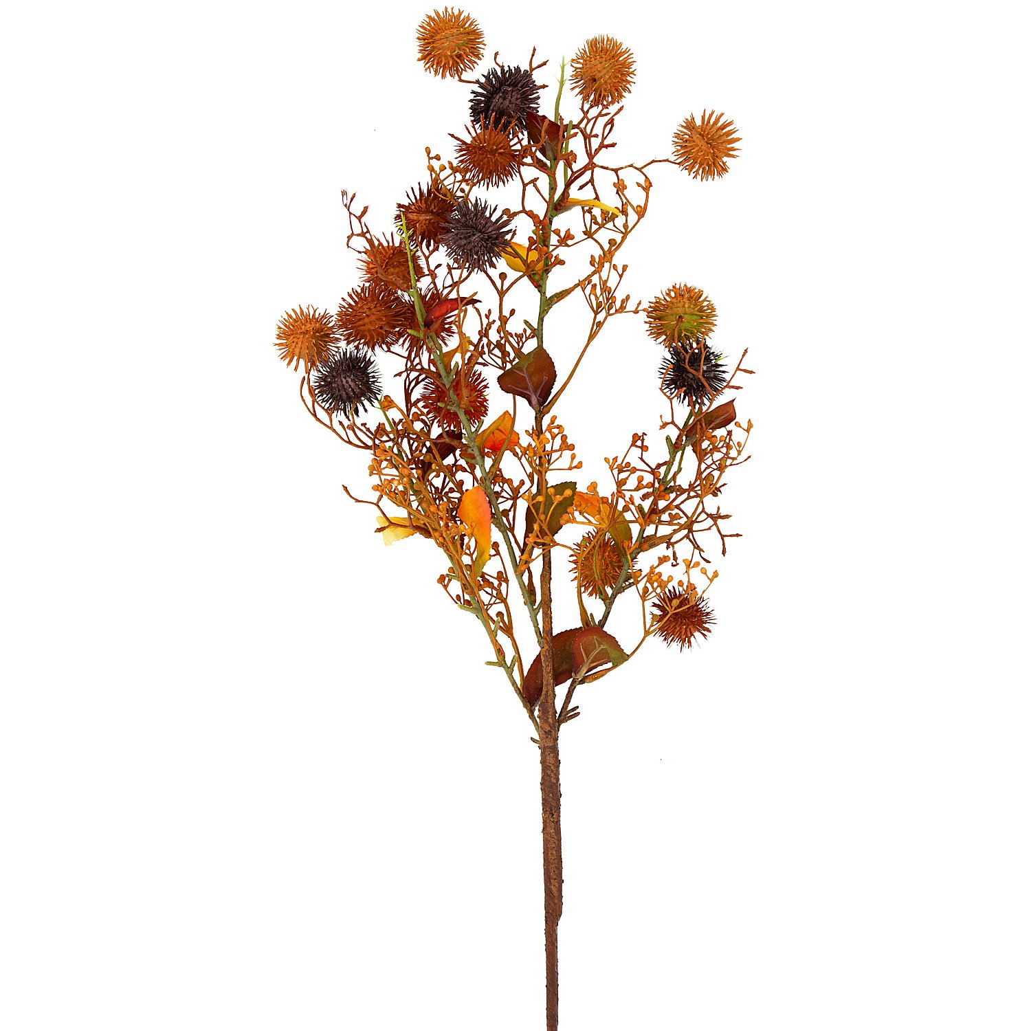 Distelzweig, rot-braun, 90 cm