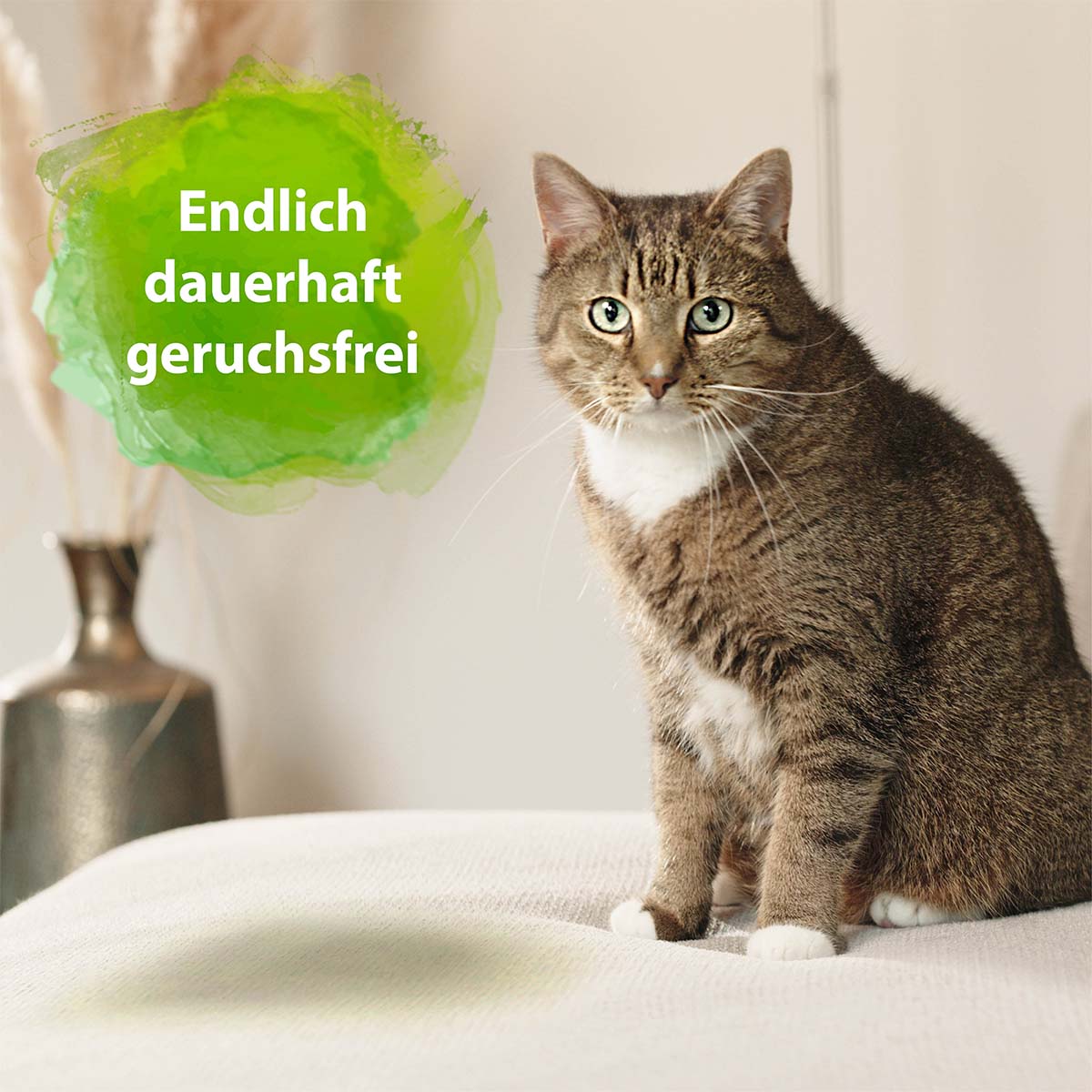 Bactador Katzentoiletten - Geruchsentferner Spray
