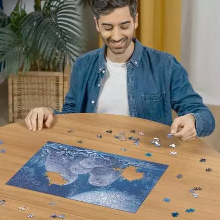 Puzzle 500 Teile - Eulen im Mondschein
