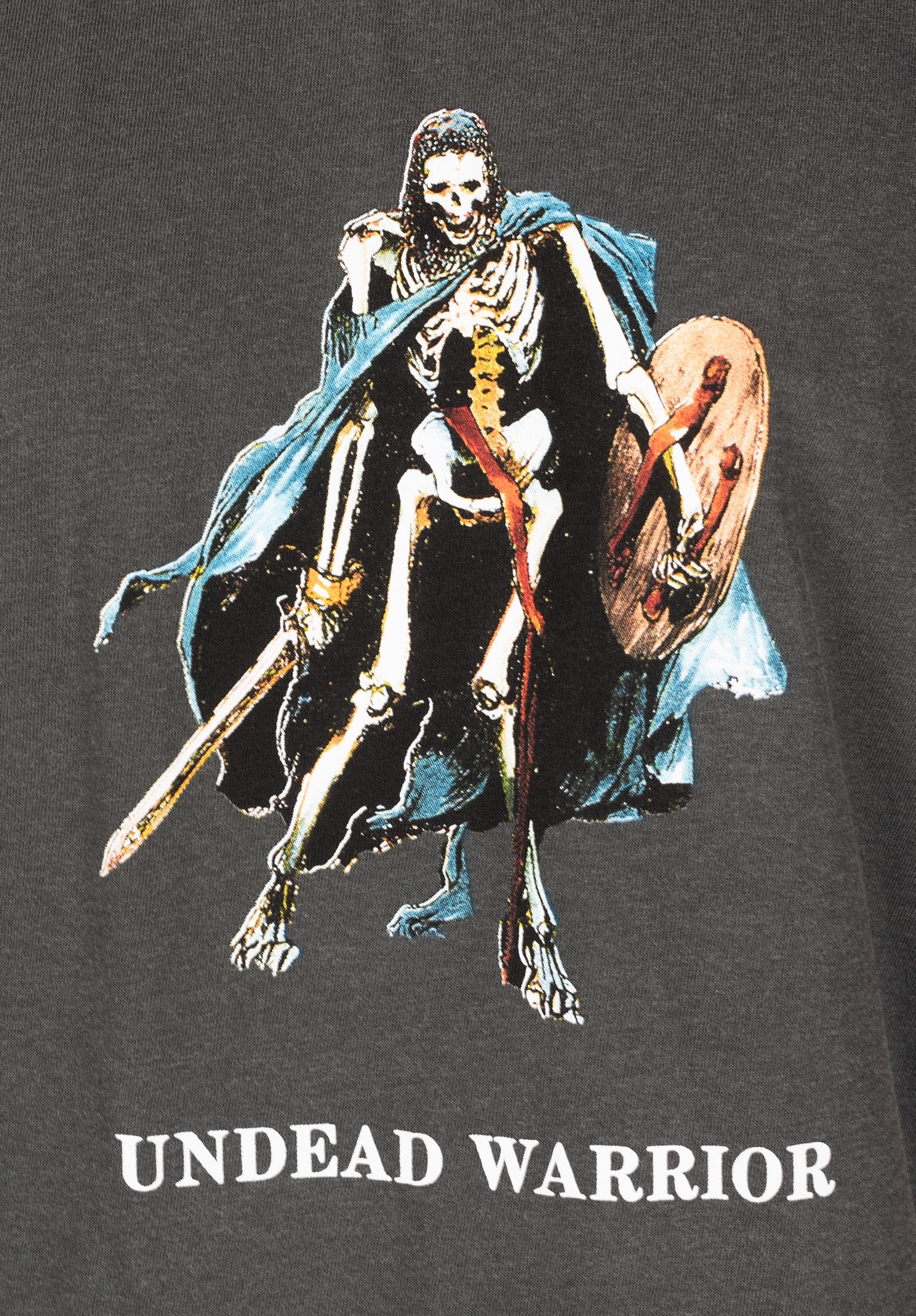 Undead Warrior