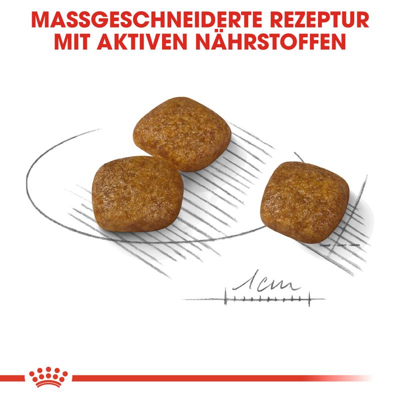 Royal Canin Mini Urinary Care