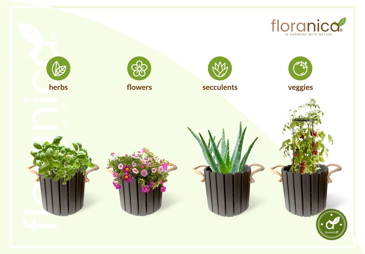 Pemicont Floranica Runder Blumentopf aus Holz 33x20cm Anthrazit Imprägnierte Kiefer Schutztopf für Kräuter Blumen Haus- und Gartendekoration Truhe Innen- und Außeneinsatz EU-Produkt