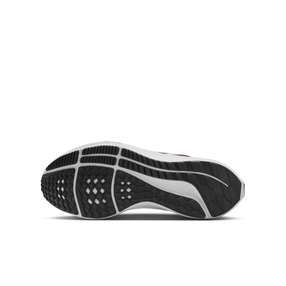 Nike Air Zoom Pegasus 40 DX2498-009 / grau