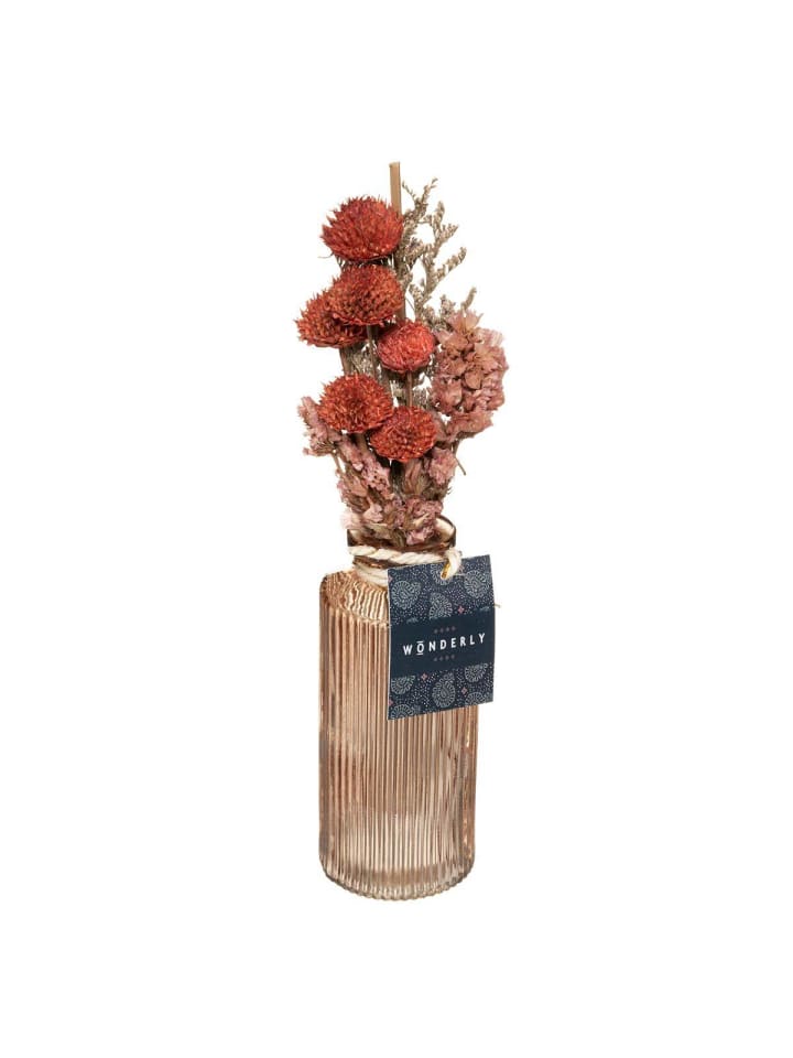 Atmosphera Créateur d'intérieur Trockenblumen in rot günstig kaufen onesize