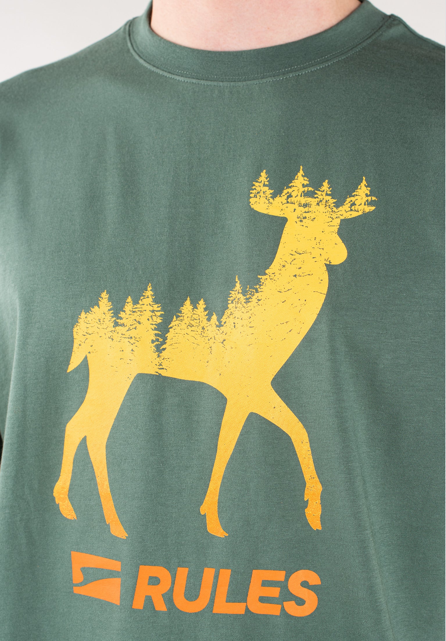 Deer