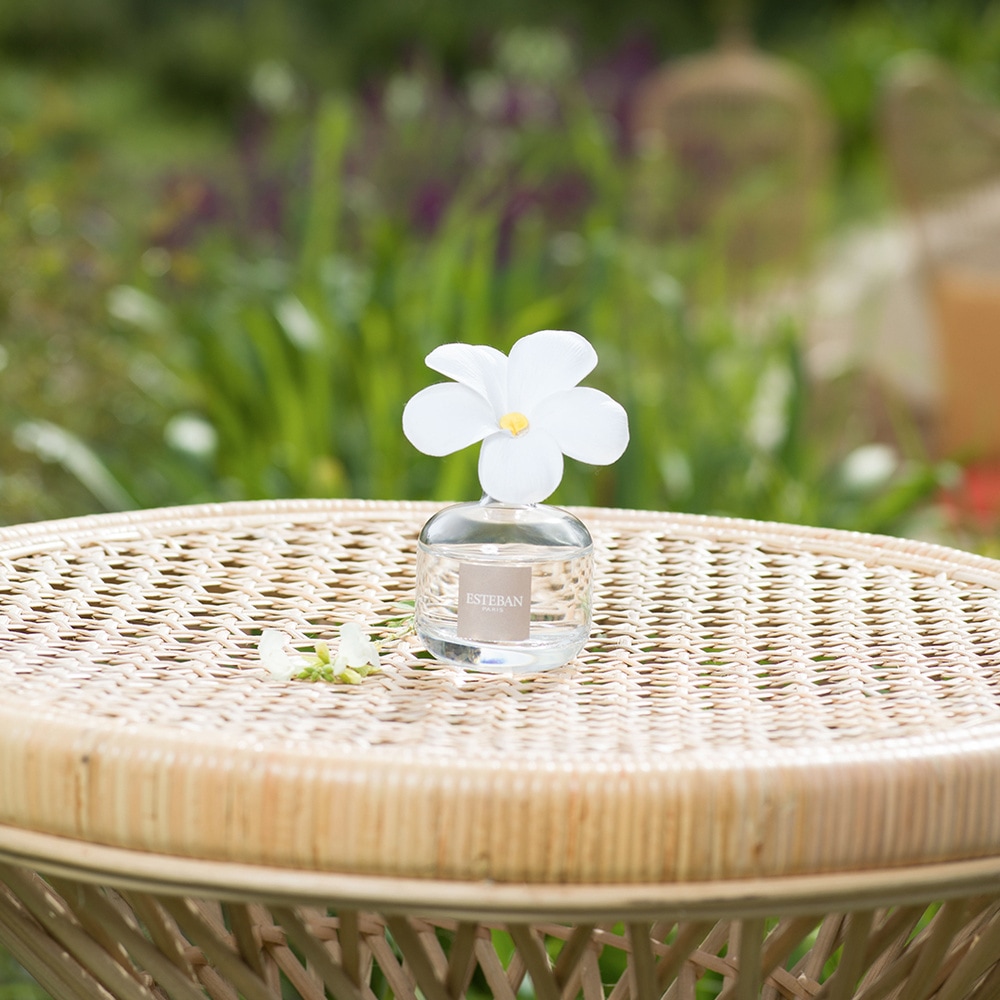 esteban Monoi Soleil Fleur à parfum