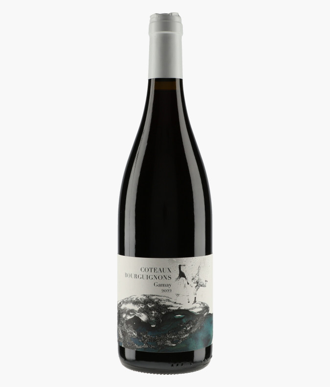 Coteaux Bourguignons Gamay 2022DIDON