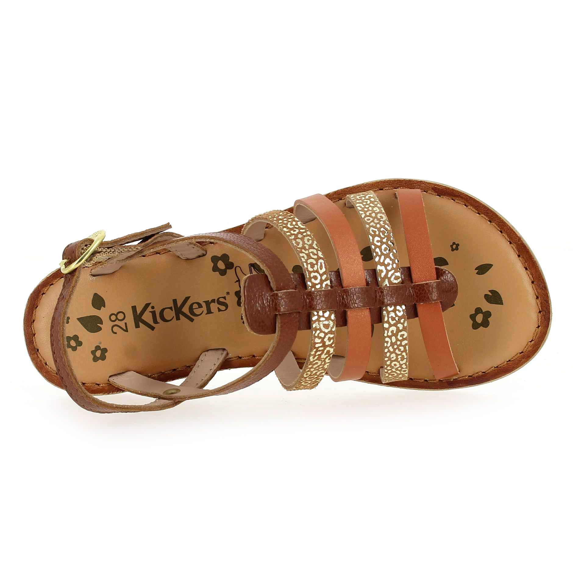Kickers  DIXON - Marron Camel