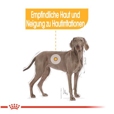 Royal Canin Maxi Dermacomfort