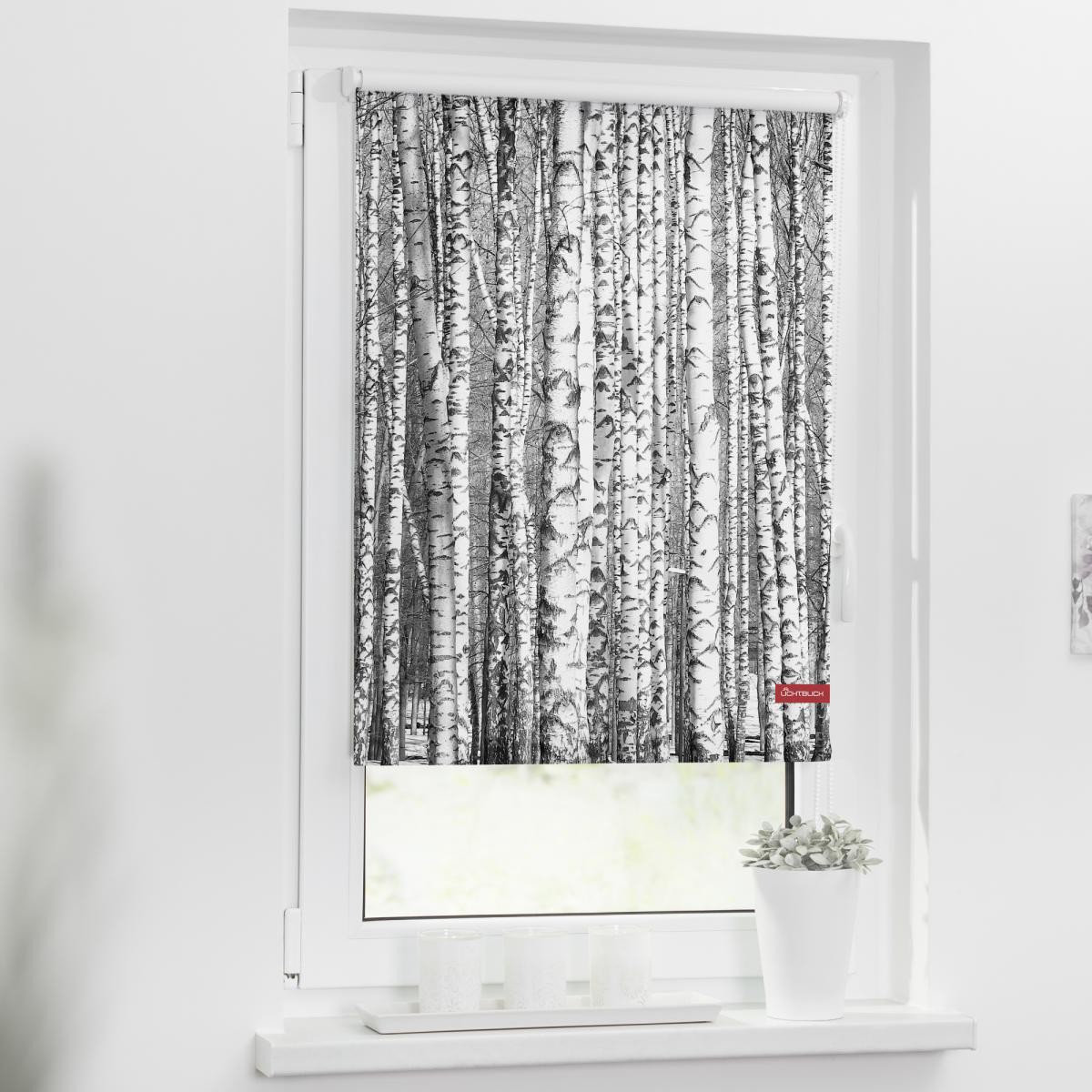 Lichtblick Rollo Klemmfix, ohne Bohren, blickdicht, Birken - Schwarz Weiß, 60 x 150 cm (B x L)