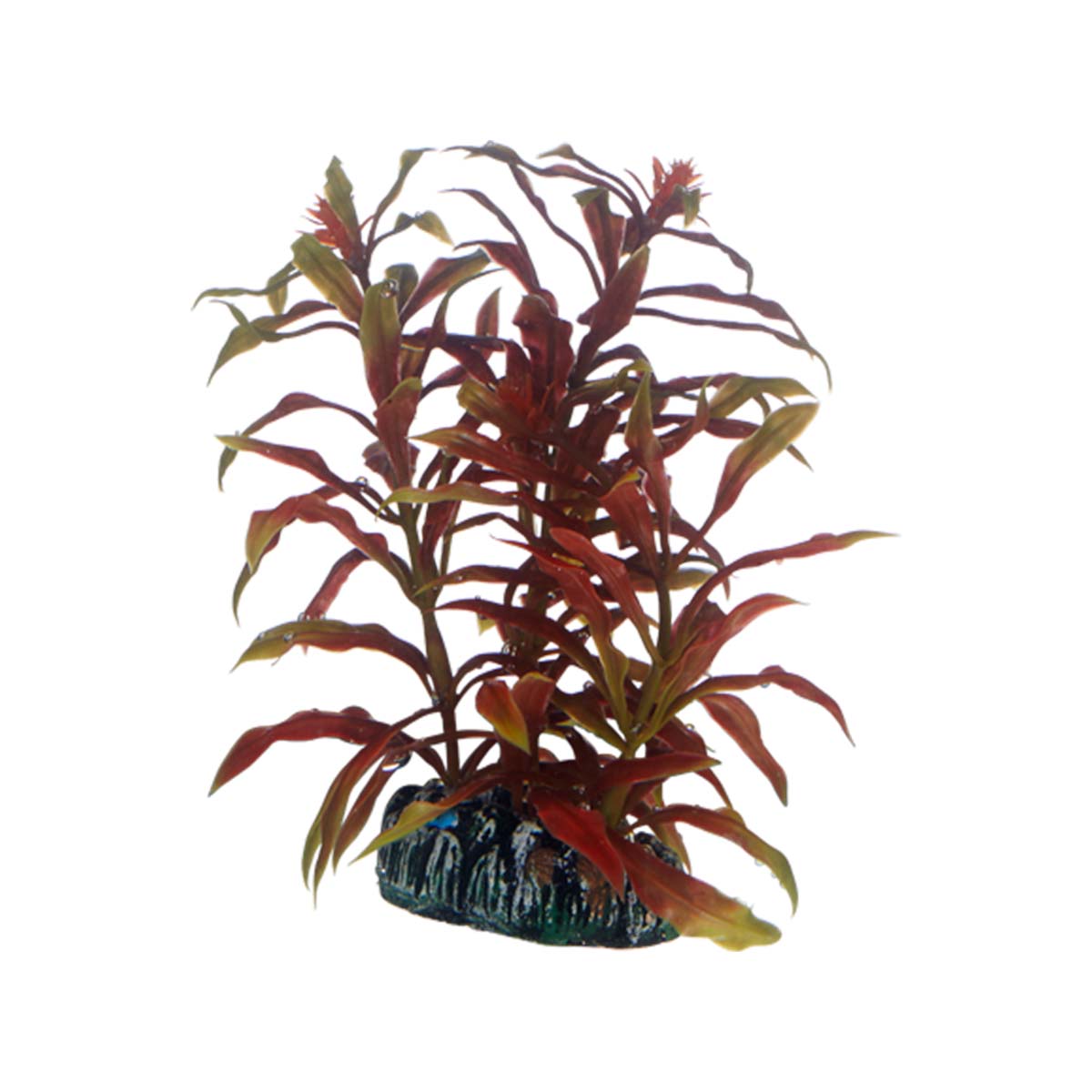 Hobby Aquariumdekoration Nesaea günstig kaufen