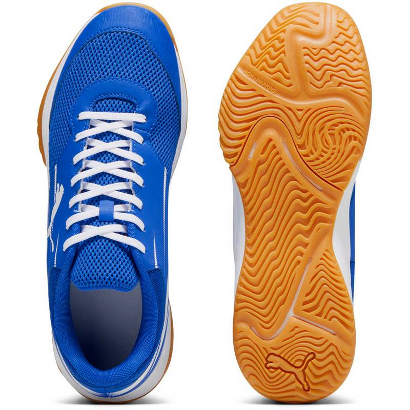 PUMA Varion II Hallenschuhe Herren