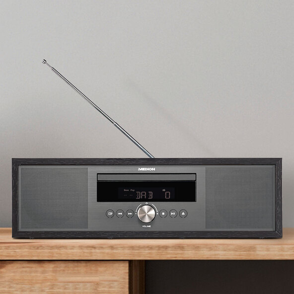 All-in-One Audio System P64145 (MD44125)