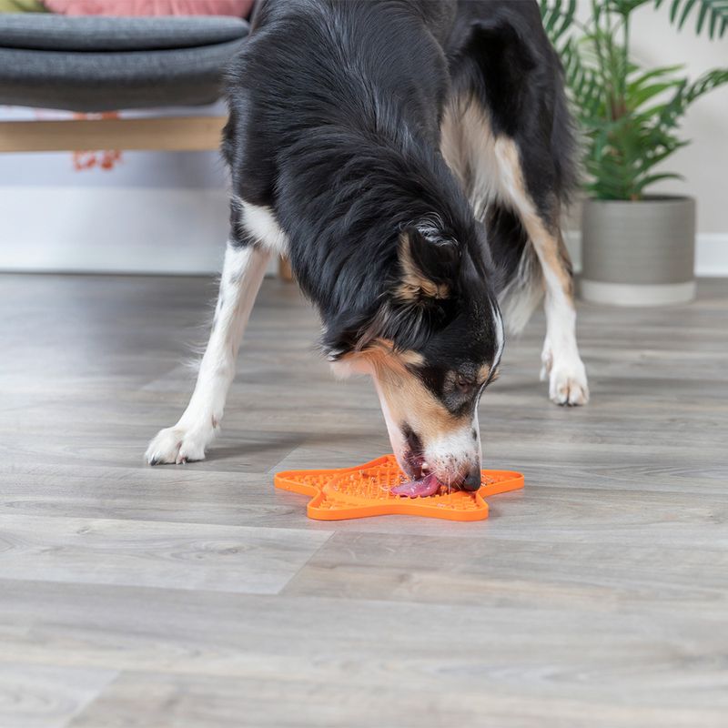 Trixie Lick'n'Snack Schleckmatte Stern zu TOP-Preisen | bitiba %