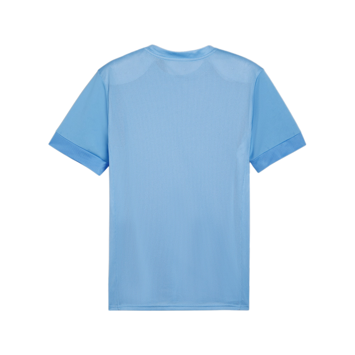 PUMA teamGOAL Matchday Trikot Blau Weiss F18