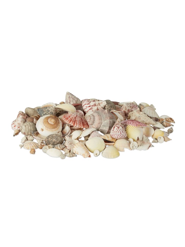 relaxdays Muschel Deko Set in Bunt - 1 kg günstig kaufen onesize