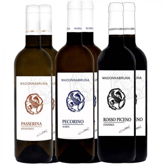 Madonnabruna Kennenlern-Paket - MADONNABRUNA