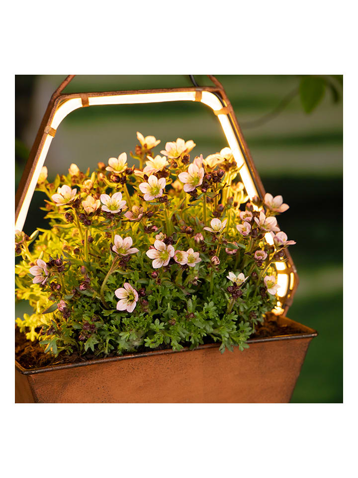 Garden Hero LED-Solar-Hängeleuchte in Hellbraun - (B)34,7 x (H)19,8 x (T)10,8 cm günstig kaufen onesize