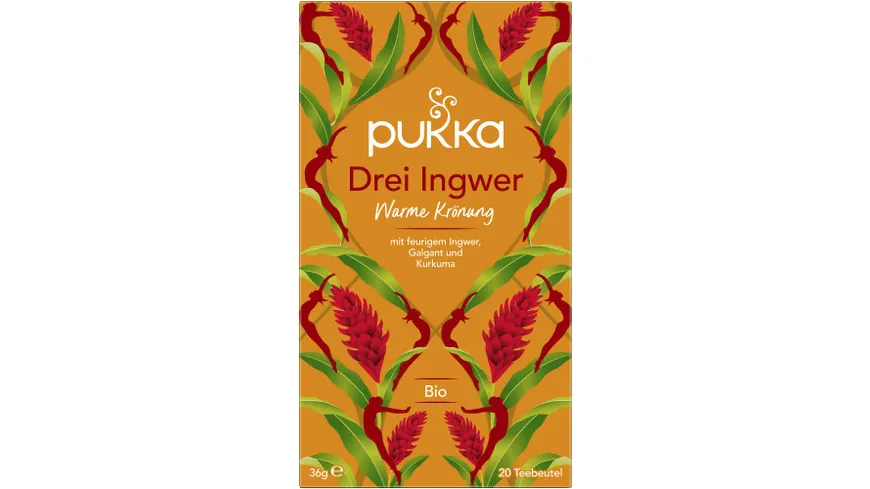 Pukka BIO Tee Drei Ingwer 36 g