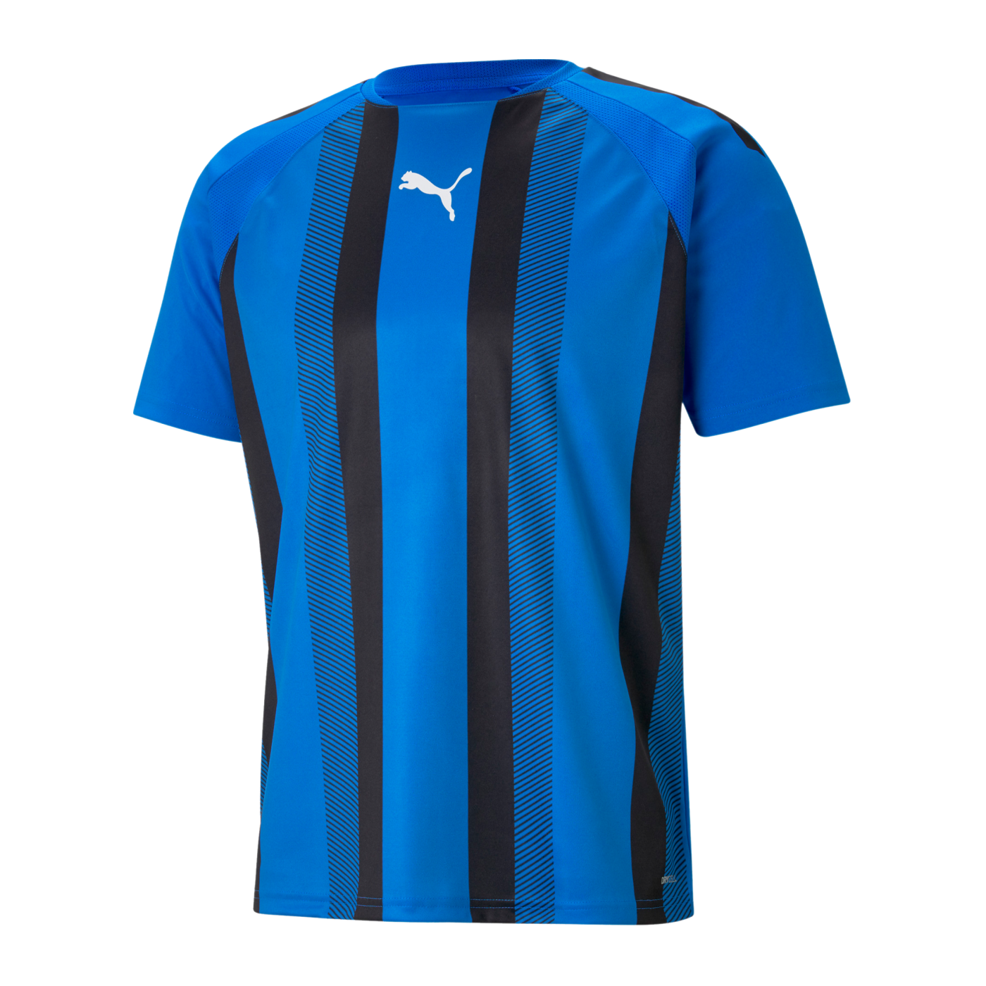 PUMA teamLIGA Striped Trikot Blau Schwarz F02