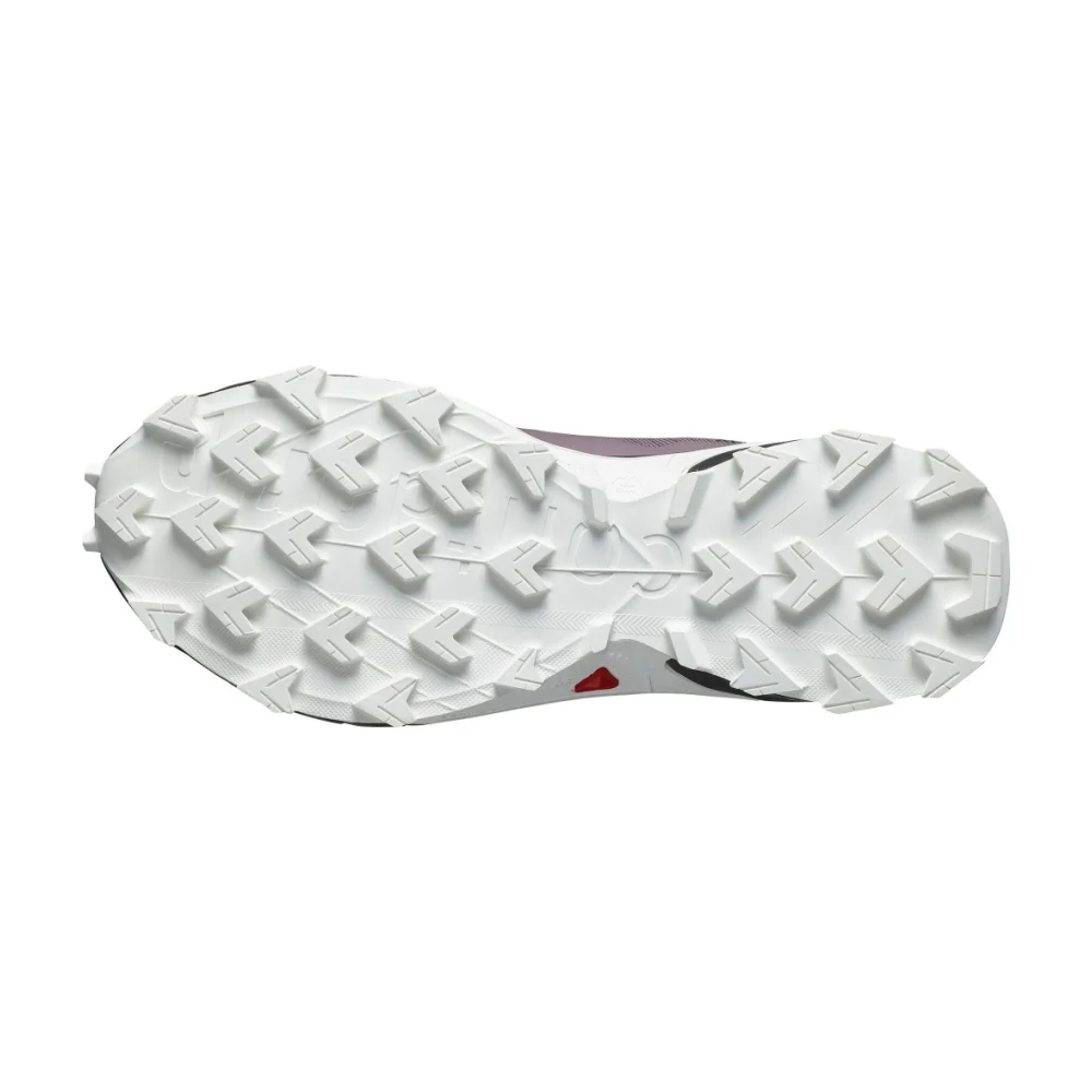 Salomon ALPHACROSS 5 GTX L47311000 / bunt