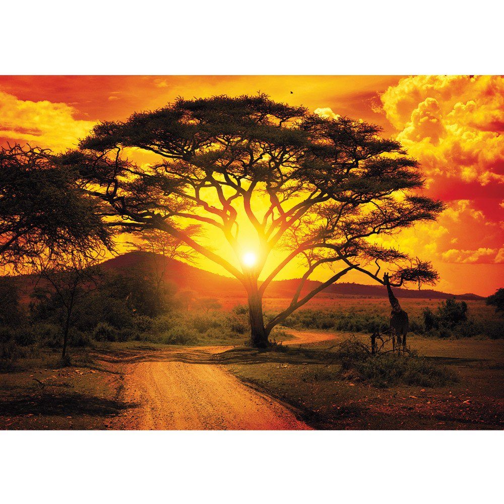 liwwing Fototapete Fototapete Sonnenuntergang Baum Giraffe Savanne Himmel Afrika liwwing no. 999, Afrika