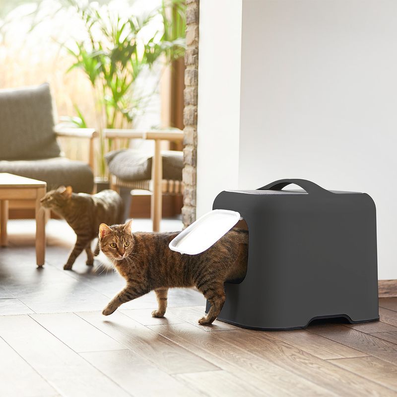 Rotho MyPet Katzentoilette BIALA zu TOP-Preisen