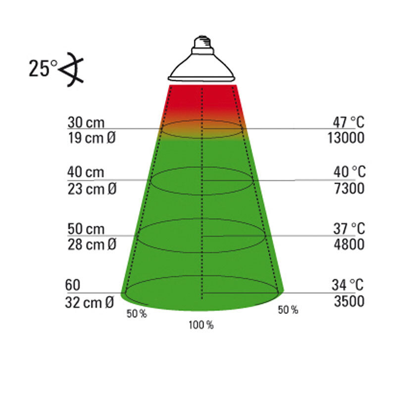 Lucky Reptile Beleuchtung Lucky Reptile Halogen Sun 50 W