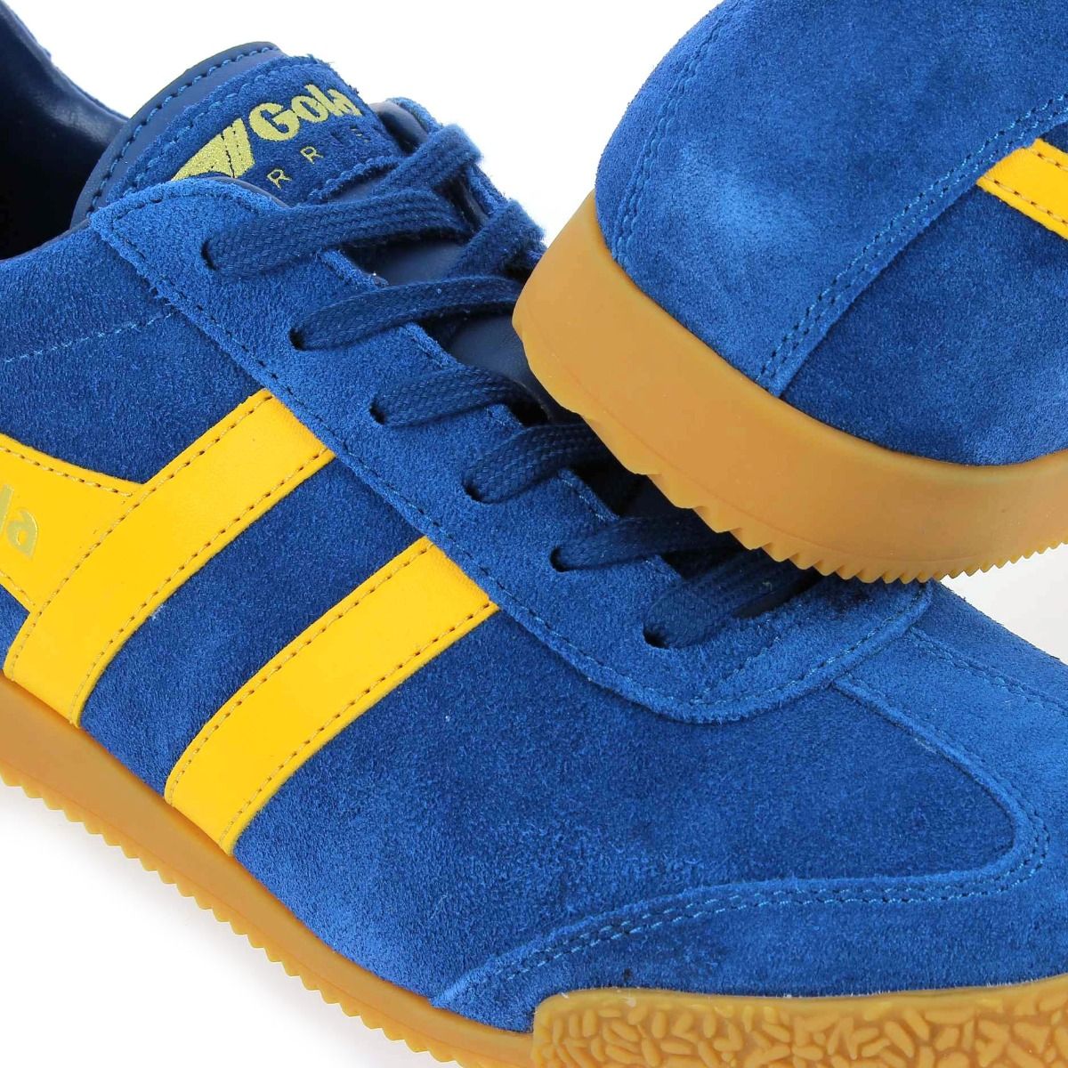 Gola  HARRIER GOLA CMA192 - Bleu Jaune