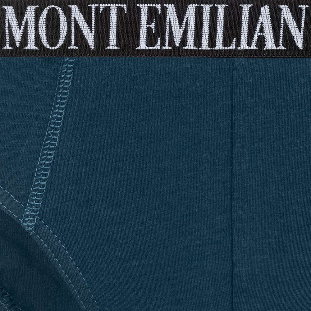 MONT EMILIAN 