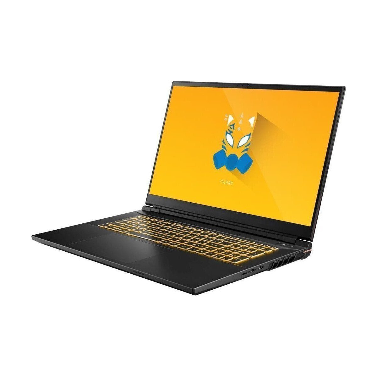 ONE GAMING ONE GAMING Carry V73-13NB-SN1 Gaming-Notebook (Intel Core i9 Serie 13. Generation Core i9-13900HX, GeForce RTX 4000)