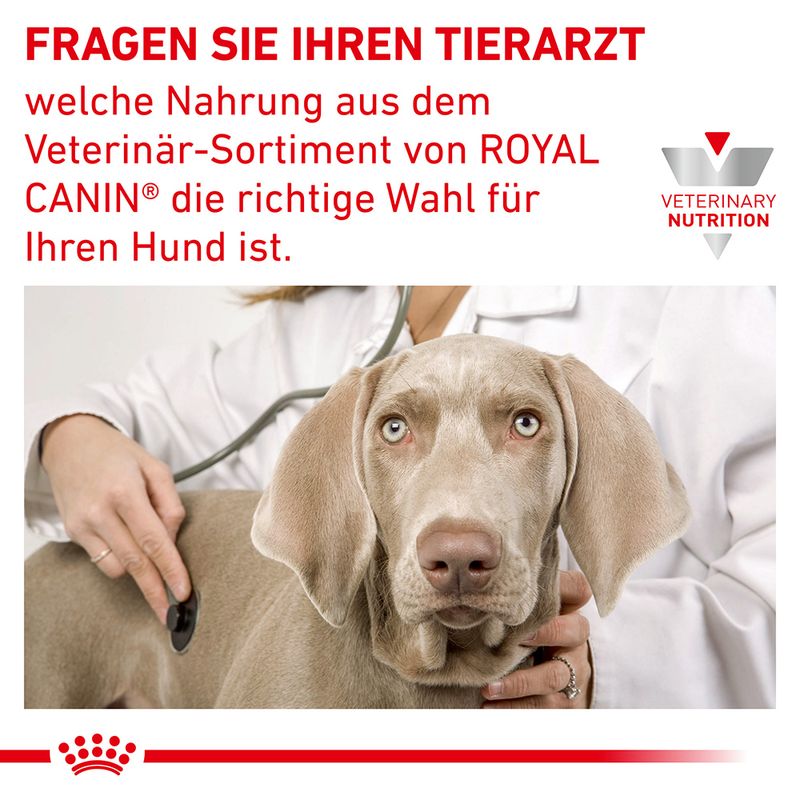 Royal Canin Veterinary Canine Anallergenic Small Dog