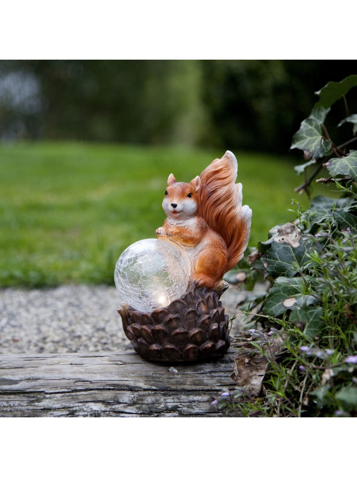 STAR Trading LED Solar-Figur Squirrel, Eichhörnchen günstig kaufen onesize