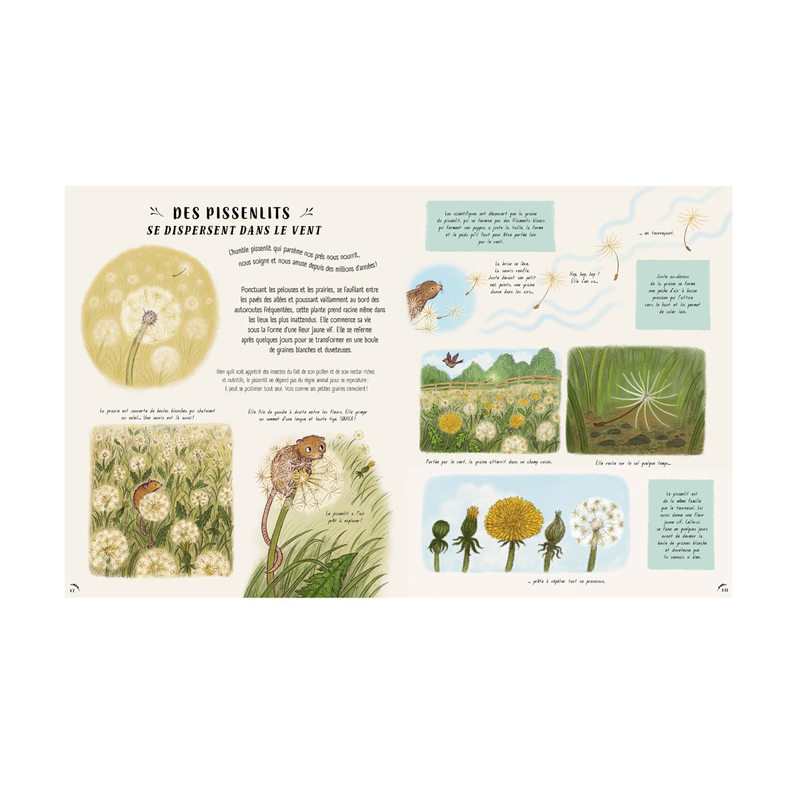 Livre Les secrets de la nature... tout près de toi - Larousse Jeunesse