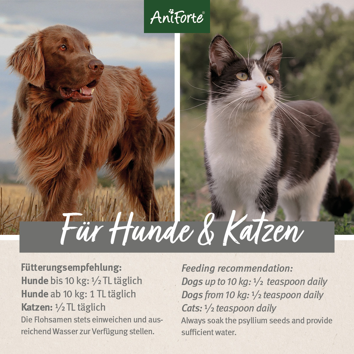 Aniforte Ergänzungsfutter & Aufzucht Aniforte Indische Flohsamen 1kg