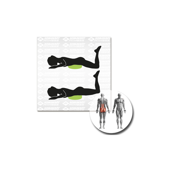 Schildkröt Fitness - Balance-Kissen Inflatable