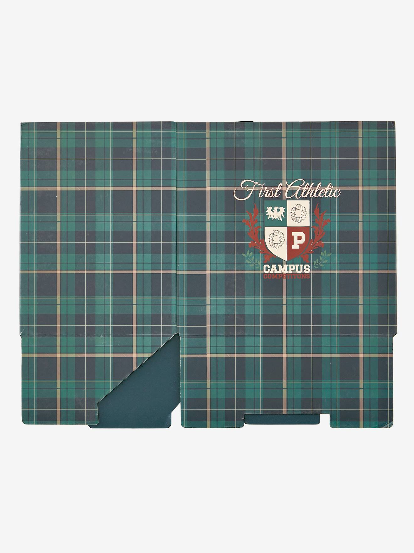 Corbeille en carton pliable Ecusson vert / bleu