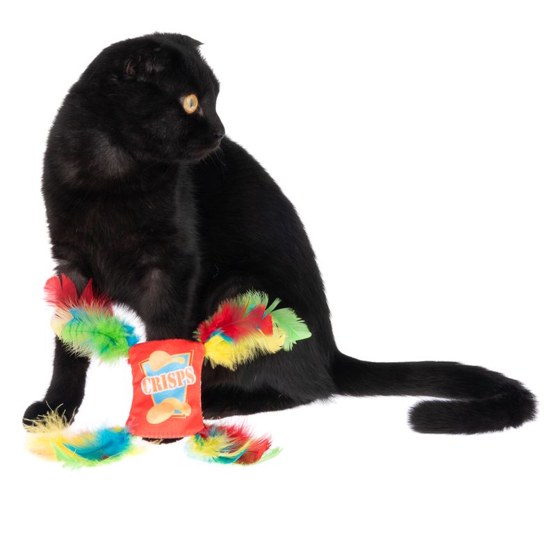 Katzenspielzeug Crinkle Crisps mit Federn zu TOP-Preisen | bitiba