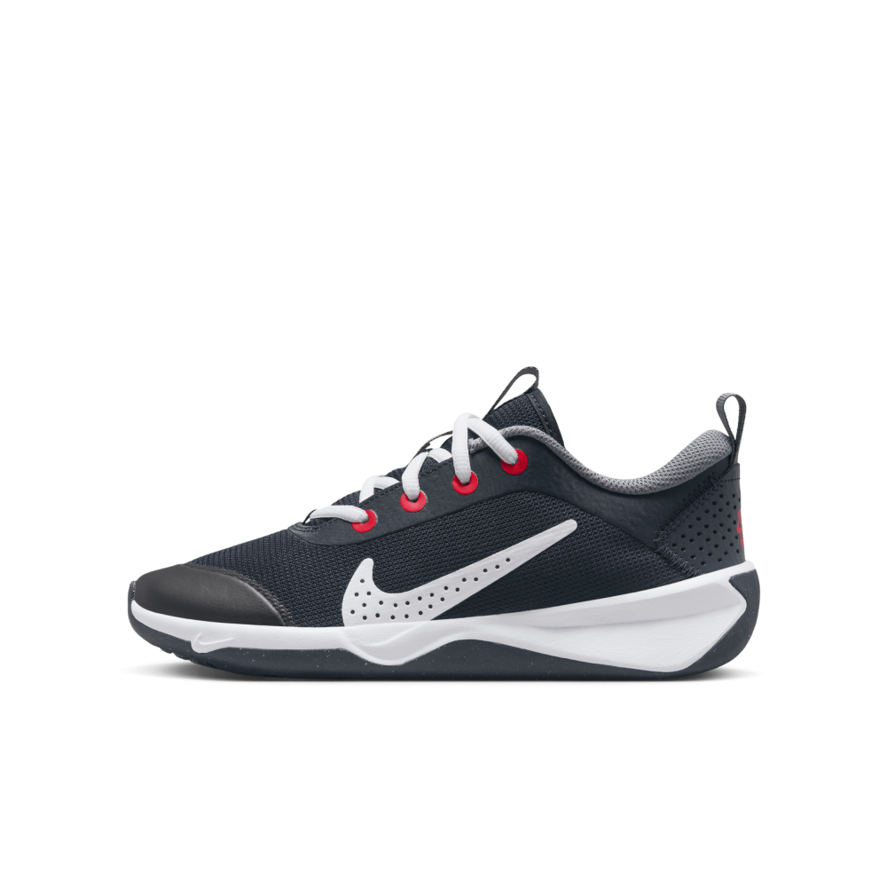Nike Omni Multi Court DM9027-402 / blau