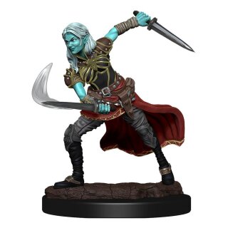 D&D Nolzur's Marvelous Miniatures: Air Genasi Female (2)