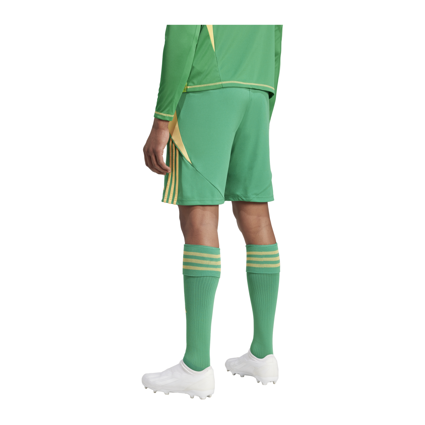 adidas Tiro 24 Short Grün Orange