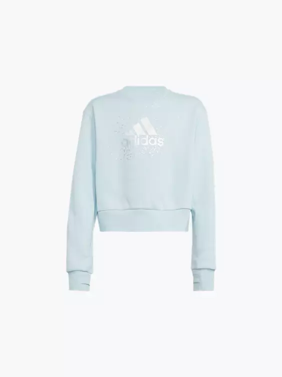 adidas Sweatshirt
