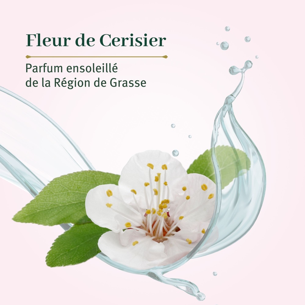 le petit olivier 2 Savonnettes Extra Douces Fleur de Cerisier Savon Solide Extra Doux