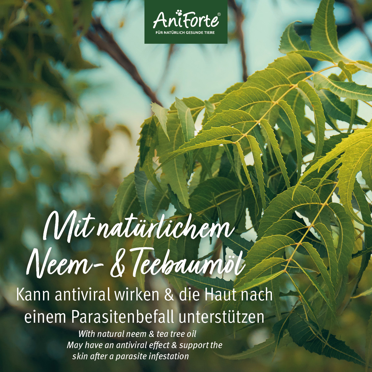 Aniforte Fellpflege Aniforte Neemöl Shampoo 500ml