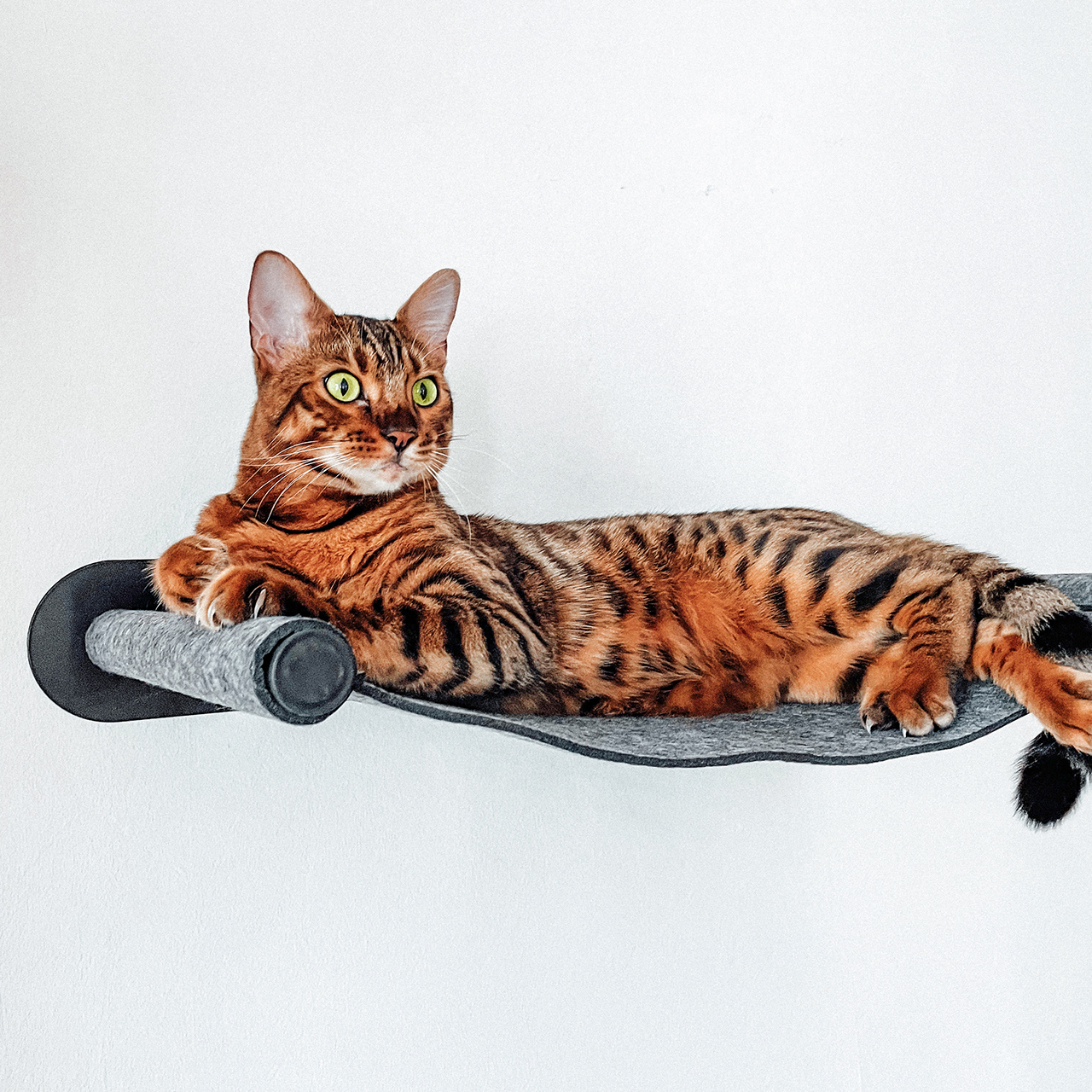 Canadian Cat Company Katzenbetten & Katzensofas Canadian Cat Company Filz-Hängematte für die Wand