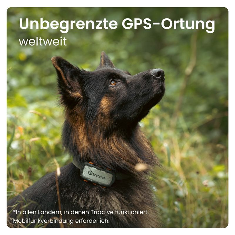 Tractive XL GPS Tracker für Hunde Adventure Edition